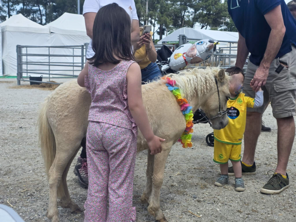 cheval miniature curly avec des enfants